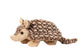 Austin Armadillo