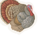 Turkey--Die-Cut Napkin Airlaid Luncheon D-Cut 15 In