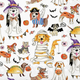 Paper Cocktail Napkin 20 Ct Halloween Dogs