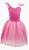 Princess Rose Velvet Dress with Tulle Skirt